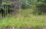 LOT 8 Preserve At Beach Mountain - Photo 11