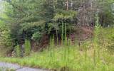 LOT 8 Preserve At Beach Mountain - Photo 12