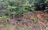 LOT 8 Preserve At Beach Mountain - Photo 14