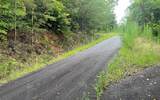 LOT 8 Preserve At Beach Mountain - Photo 16