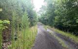 LOT 8 Preserve At Beach Mountain - Photo 7
