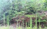 LOT 8 Preserve At Beach Mountain - Photo 8
