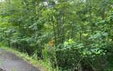 LOT 13 Preserve At Beach Mountain - Photo 11