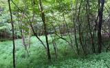 LOT 13 Preserve At Beach Mountain - Photo 15
