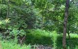 LOT 13 Preserve At Beach Mountain - Photo 16