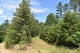 0 Nickelsville Road - Photo 1