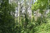 0 Nickelsville Road - Photo 3
