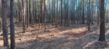 TRACT D Cedardale Drive/Sweetbriar Lane - Photo 10