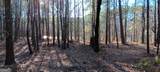 TRACT D Cedardale Drive/Sweetbriar Lane - Photo 11