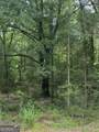 0 River Birch Lane - Photo 2