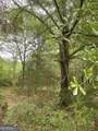 0 River Birch Lane - Photo 3