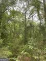 0 River Birch Lane - Photo 4