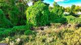 0 Iris Drive - Photo 33