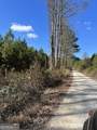 0 Grady Wright Road - Photo 4