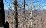 LOT 14 Mountain Harbour - Photo 50