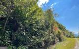 LOT 14 Mountain Harbour - Photo 7