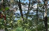 LOT 14 Mountain Harbour - Photo 9
