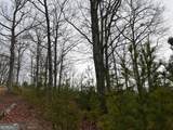 LOT 137 Shiloh Ridge - Photo 15