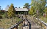 1481 Phillips Cove Drive - Photo 5