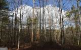 LOT 26 Coosa Bend - Photo 5