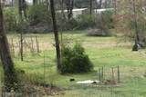 3814 Highway 17 Alt - Photo 5