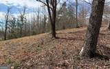LOT 42 Dan Knob - Photo 11