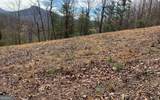 LOT 42 Dan Knob - Photo 13