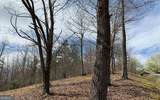 LOT 42 Dan Knob - Photo 9