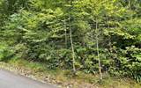LOT 7 Bear Trail - Photo 4