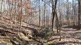 6155 (LOT #1) Little Ridge Road - Photo 23