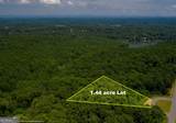 6825 Lookout Point - Photo 6