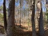 0 Black Oak Trail - Photo 3