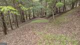 LOT 48 Indian Cave Road - Photo 7