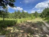 0 Fallen Branch Circle - Photo 10