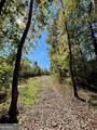 0 Silas Mercer Road - Photo 6