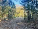 0 County Road 138 - Photo 3