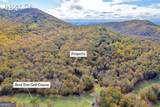 0 Crippled Oak Trail - Photo 5