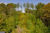 LOT 195 Blalock Mountain Road - Photo 11