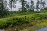 LOT 195 Blalock Mountain Road - Photo 6