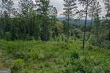 LOT 195 Blalock Mountain Road - Photo 8