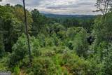 LOT 195 Blalock Mountain Road - Photo 9