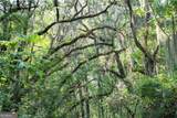 1304 Old Smokey Road - Photo 4