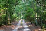 1304 Old Smokey Road - Photo 8
