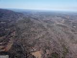 1915 Tower Trail - Photo 2