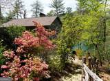 32 Light House Lane - Photo 8