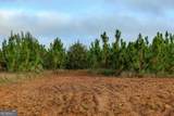 652 ACRES Ga Hwy 45 - Photo 11