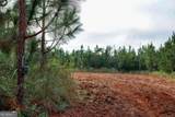 652 ACRES Ga Hwy 45 - Photo 12