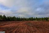 652 ACRES Ga Hwy 45 - Photo 14