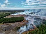 652 ACRES Ga Hwy 45 - Photo 22