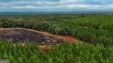 652 ACRES Ga Hwy 45 - Photo 25